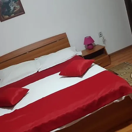 Casa Galbena 宾馆 Slănic