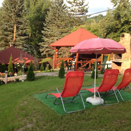 Casa Galbena 宾馆 Slănic