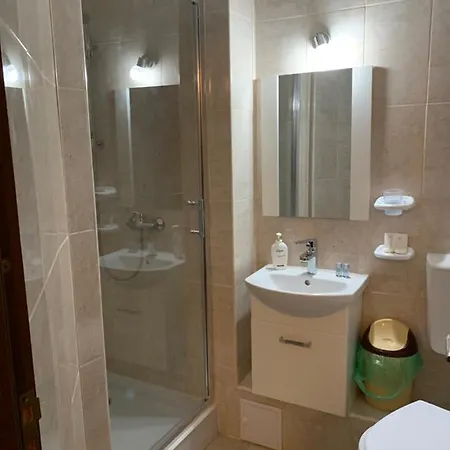 宾馆 Casa Galbena Slănic