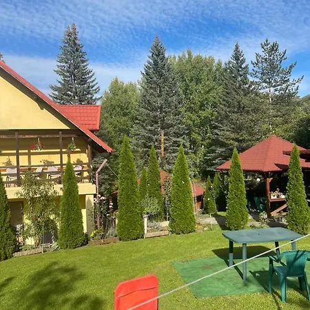 Casa Galbena Slănic